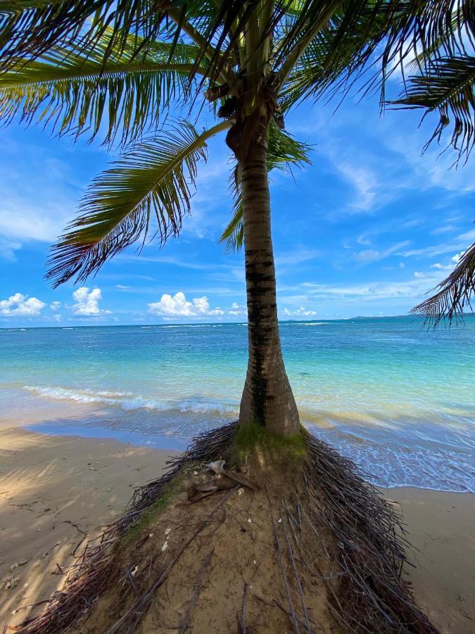 Cozy Beach Apartment Luquillo Eksteriør billede